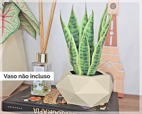 Arquivo de Corte Planta Folhas Espada de São Jorge AI 3